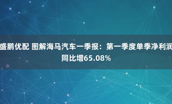 盛鹏优配 图解海马汽车一季报：第一季度单季净利润同比增65.08%