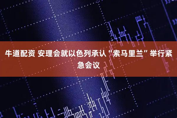 牛道配资 安理会就以色列承认“索马里兰”举行紧急会议