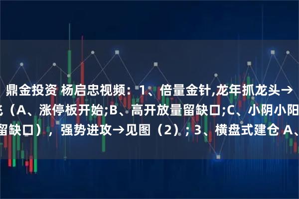 鼎金投资 杨启忠视频：1、倍量金针,龙年抓龙头→见图（1）；2、比翼双飞（A、涨停板开始;B、高开放量留缺口;C、小阴小阳留缺口），强势进攻→见图（2）; 3、横盘式建仓 A、长达3个月以上的横盘区间;