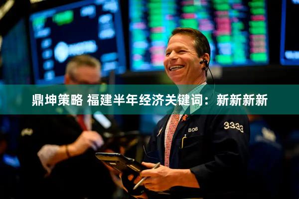 鼎坤策略 福建半年经济关键词：新新新新